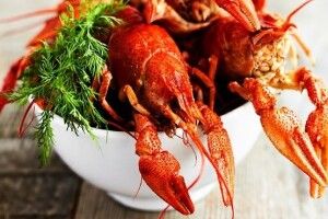 Скільки можна заробити на вирощуванні раків