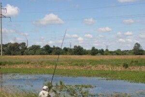 На Волині рибалку вбило струмом: закинув вудочку під високовольтною лінією 