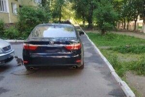 У Рівному 34-річний водій на смерть збив жінку