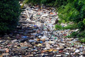 У Рівному відпочивальники залишили купи сміття на популярному пляжі (Відео)