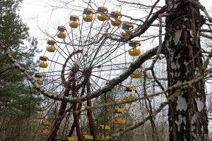 Під Чорнобилем бачили козулю рідкісного кремового кольору (Фото)