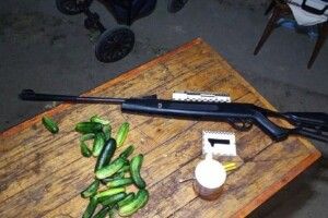 Семирічний хлопчик грався гвинтівкою і вистрелив у брата-ровесника