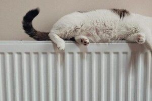 Відомо, коли лучани побачать у платіжках нарахування за тепло
