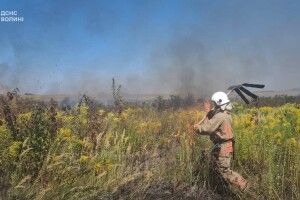 У селищі на Волині спіймали палія сухостою 