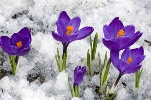 Погода на середу, 3 лютого: вночі трішки приморозить, а вдень – знову відлига