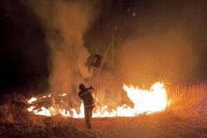 На Волині за добу вигоріло 15 гектарів сухої трави, чагарників та сміття 