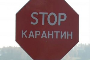 Через спалах сибірки село закрили на карантин до 28 жовтня