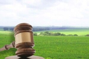 Громаді на Волині повернули 50 гектарів землі від недобросовісного орендаря