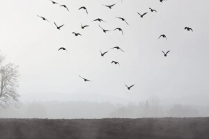 В Україні оголосили I рівень небезпеки: негода накриє півкраїни  