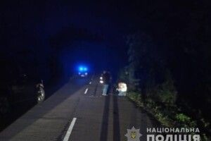 На Волині Mersedes-Sprinter насмерть збив пішохода. Допоможіть встановити особу  (Фото 18+)