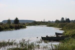 У нацпарку на Волині – чарівний початок осені (Фото)