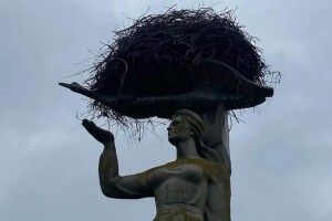 Радянський пам’ятник не можуть знести через лелече гніздо (Фото)