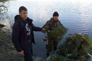 На заплаві Стиру встановили штучні нерестовища