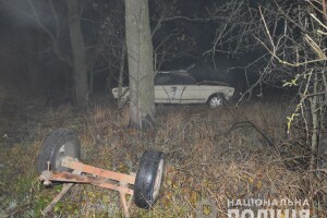 У Ковельському районі автомобіль врізався у підводу. Водій загинув