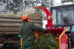 У Ковелі новорічні ялинки можна здати на переробку