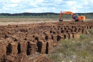 Волинський торф повезуть аж в Арабські Емірати?