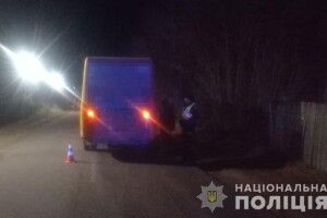 Травми були несумісні з життям: у ДТП на Житомирщині загинула жінка