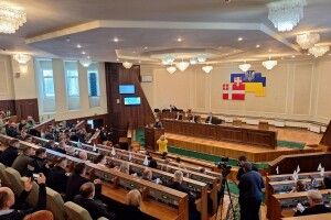 За найвищу олімпійську нагороду Волинь платитиме своїм спортсменам 250 тисяч
