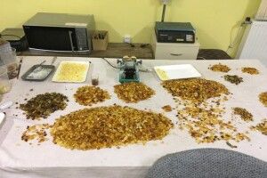 Поліцейські вилучили 150 кг бурштину в підпільному цеху в Рівненській област