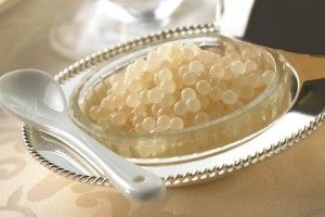 Найдорожчу в світі равликову ікру вирощують на Дніпропетровщині