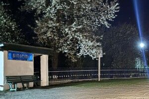 У волинському селі оновили вуличне освітлення