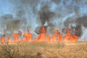 За минулий тиждень волинські рятувальники ліквідували 26 пожеж