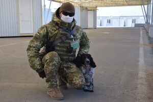 Чотирилапі охоронці кордону під час карантину тренуються ще більше, ніж зазвичай (Фото, відео)
