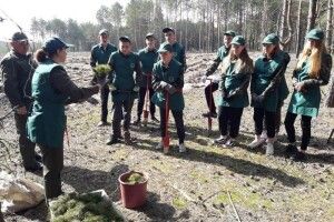 Волиняни долучилися до акції «Створюємо ліси разом»