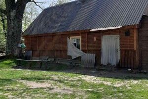 І у село Заіванове, де тепер живе лише одна родина, щовесни повертаються лелеки