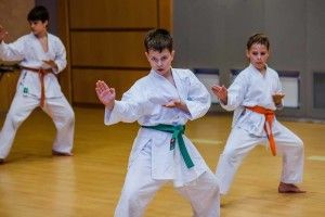 Юні каратисти з Луцька продемонстрували клас!