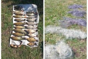 На Волині затримали браконьєра із «золотим» уловом