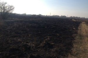 На Волині горіло 3 гектари сухої трави
