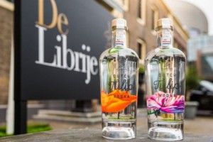 Голандець створив горілку з тюльпанів