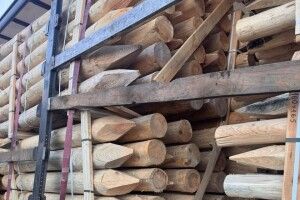 Недоброчесний продавець дерева уклав мирову угоду з Волинською митницею 