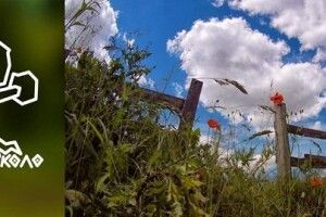 Про прекрасну Рівненщину знімуть 15 відеороликів