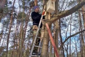 Шпаки та синички Цуманської пущі одержали ключі від нових помешкань