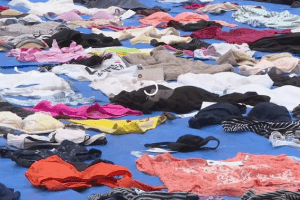 56-річного японця звинуватили в крадіжці 730... жіночих трусів