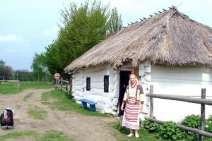 Для музею-скансена просять 590 тисяч гривень