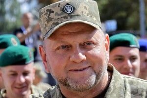 Поради Залужного налякали путіна