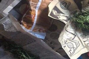 У волинського селянина вилучили рушницю та пакети з наркотиками