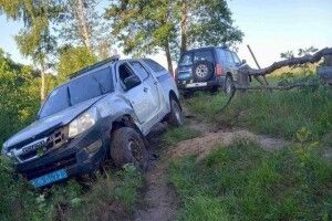 На Волині патрульне авто злетіло у кювет (Фото, відео)