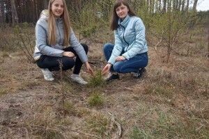 Двійнята Карина і Христина перевірили, чи прийнялися посаджені ними деревця