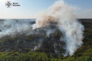 Хто на Волині підпалив ліси Полісся?