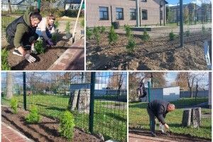 У громаді на Волині на місці майбутньої Алеї Героїв висадили туї