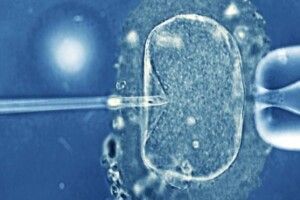 У Китаї дитина народилася через чотири роки після смерті батьків