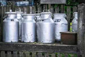 Запровадження заборони на закупівлю молока в населення відкладуть