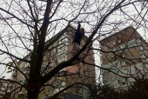 Бійцям ДСНС довелося знімати з височезного горіха 10-річного школяра