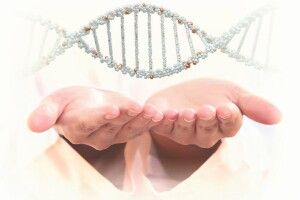 Які рідкісні захворювання мають на Волині діти