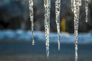 У селі на Волині зафіксували яскравий прихід весни (Відео)