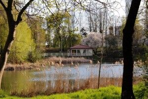 Синоптики попереджають про пориви вітру на Волині